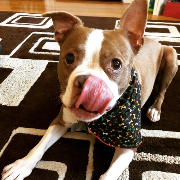 maxtheboston